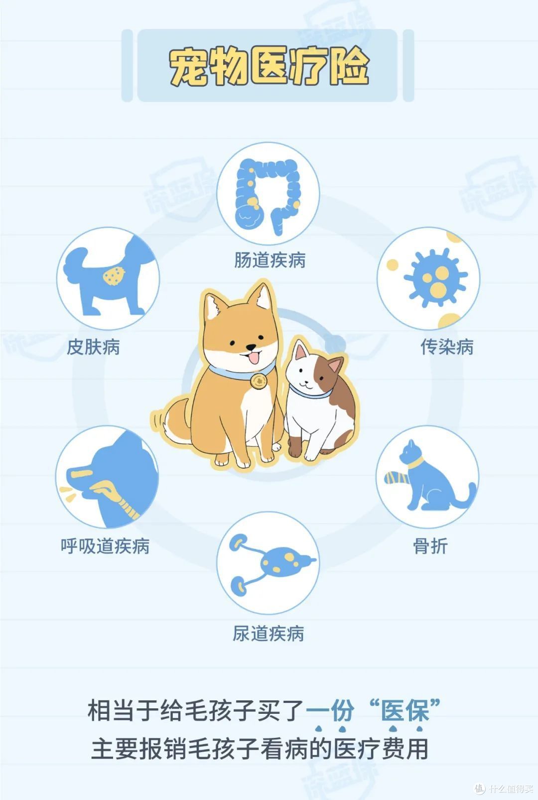猫狗看病比人还贵?这份省钱攻略请收好,每个铲屎官都需要!