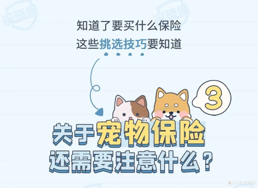 猫狗看病比人还贵?这份省钱攻略请收好,每个铲屎官都需要!