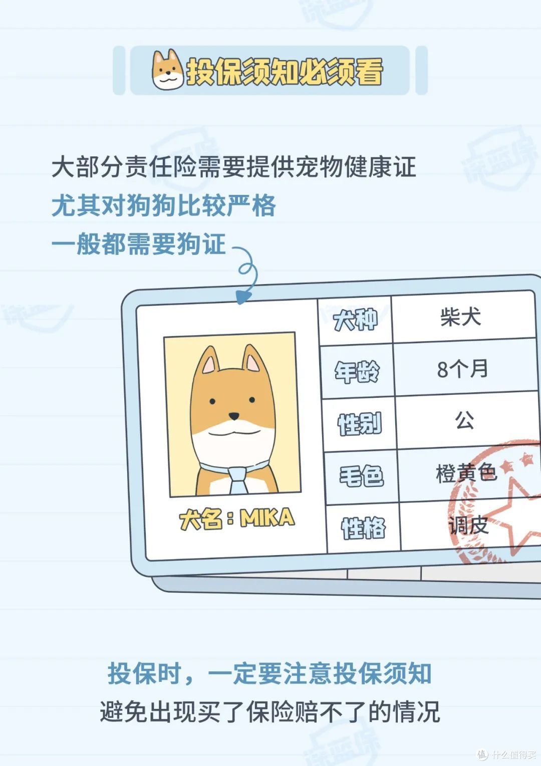 猫狗看病比人还贵?这份省钱攻略请收好,每个铲屎官都需要!
