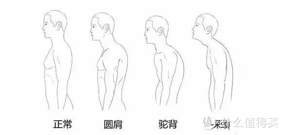 如何练出宽肩膀？亲测有效的居家练肩动作