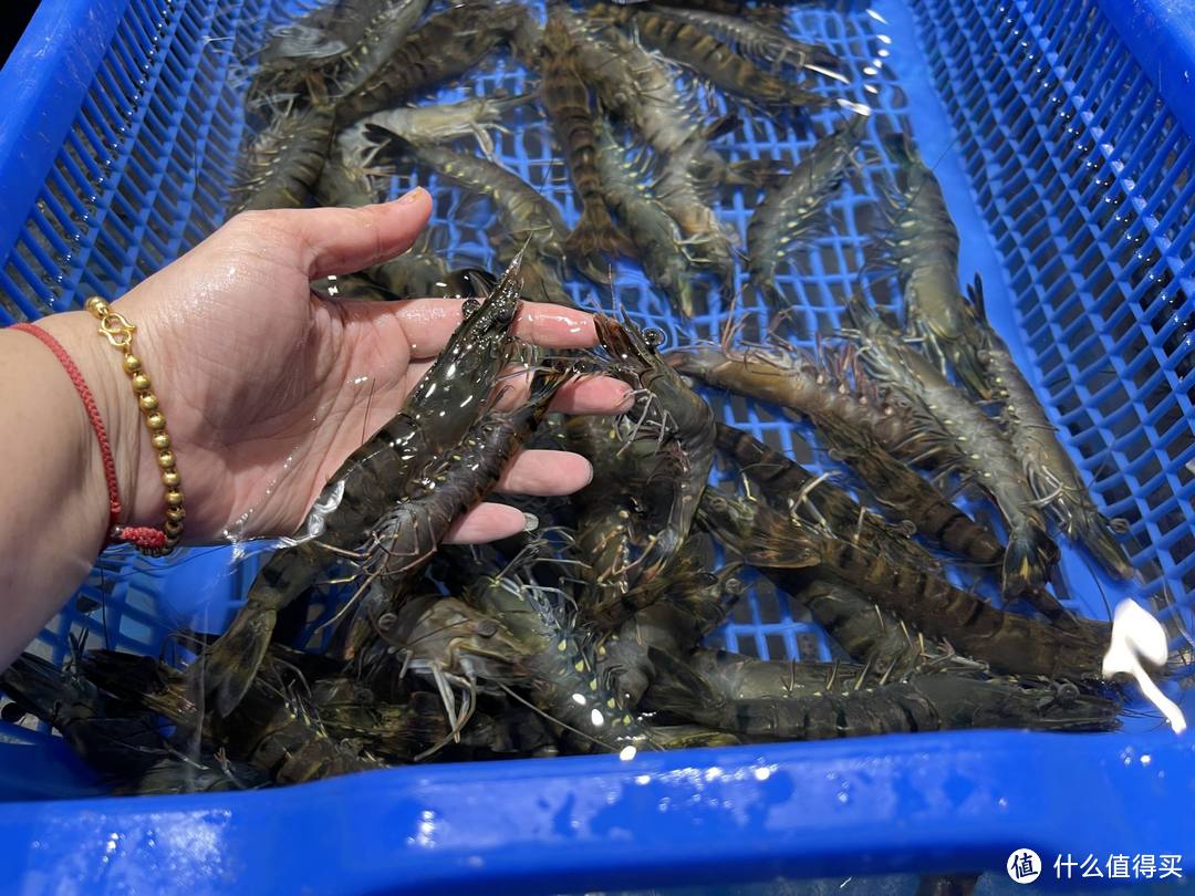 盒区房盒马党的生鲜零食必买清单,抄作业不踩雷,比价攻略一次性给你