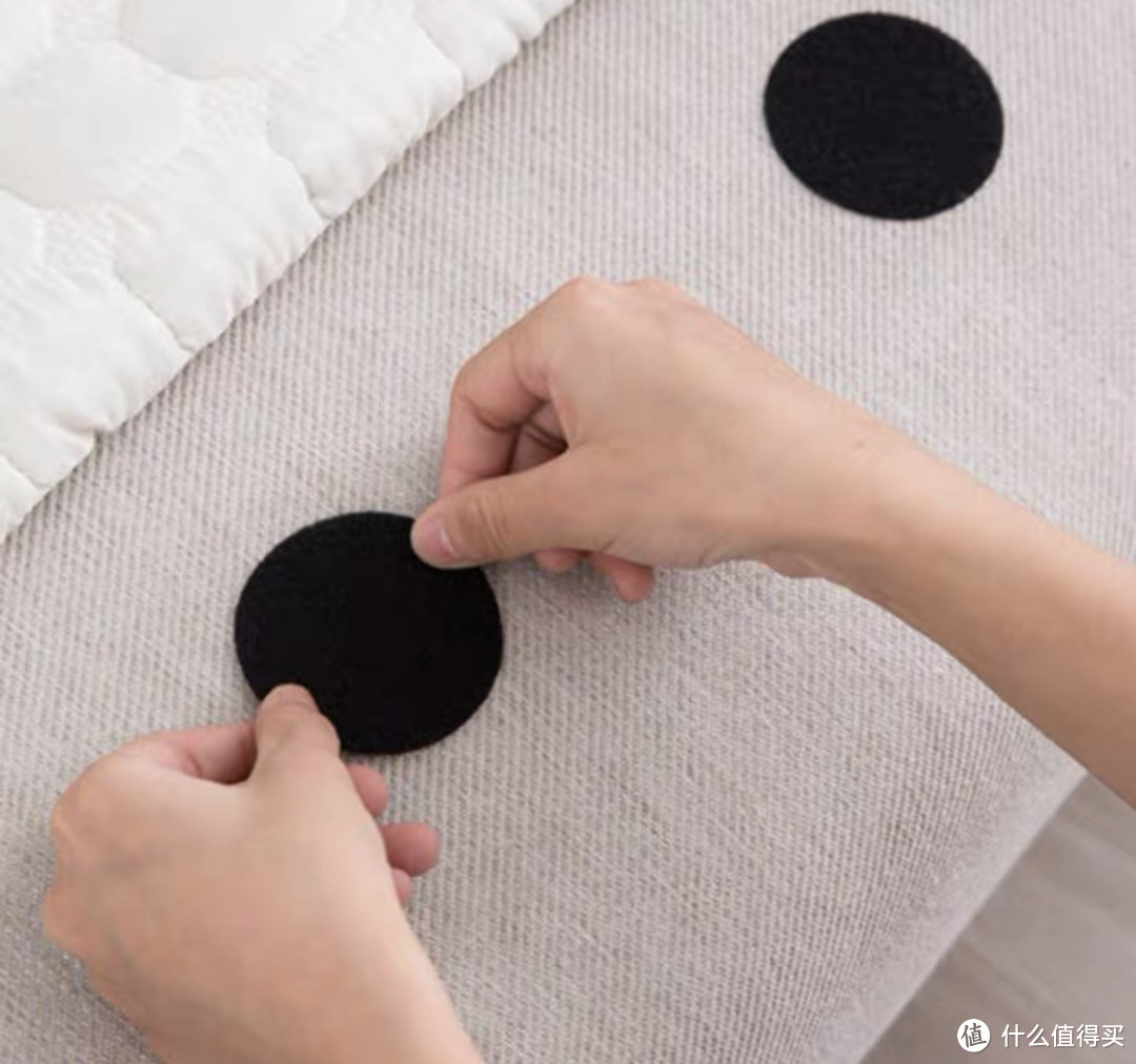 给“铲屎官”们的9条家居装修建议!