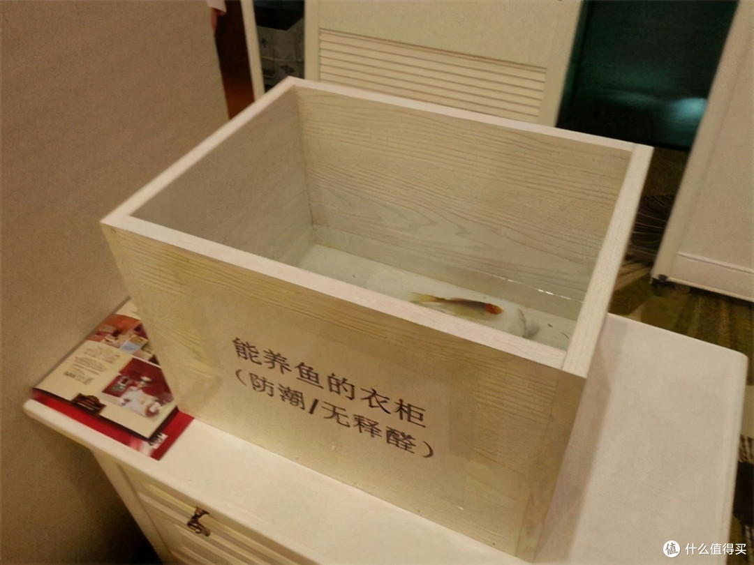 不听装修的“鬼话”,坚持做最接地气的决定,现在住着很幸福