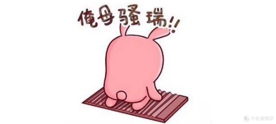 来个华为有道智能词典笔吧