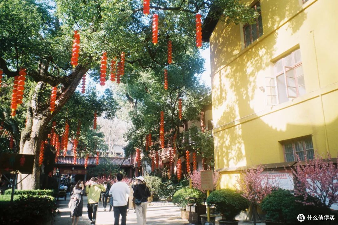 中秋快到了，每年就盼这一口素油香