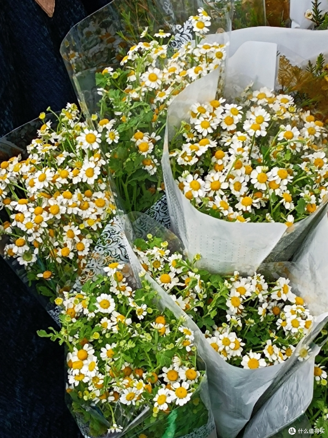 你爱花吗？真花与仿真花的性价比