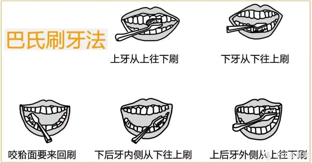 健康美白好牙齿，怎能少了美看声波电动牙刷