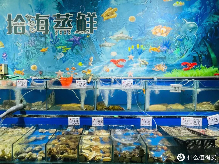 去过三次青岛都没注意到的隔壁小城,海鲜能鲜到人一激灵!