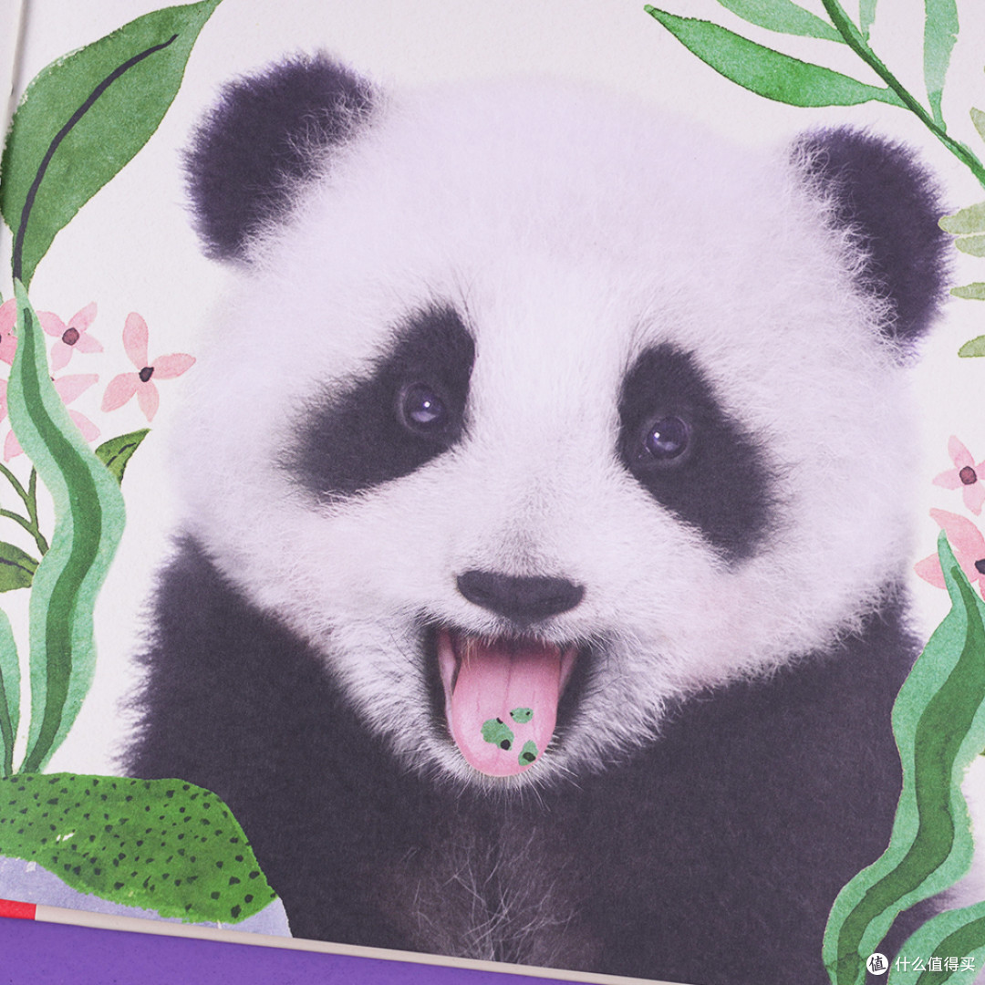 盘点乐乐趣那些以画风出圈的书，每一本都是超高颜值！