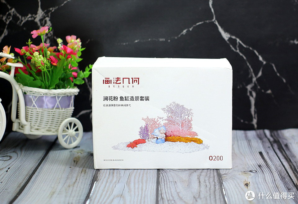 生态养鱼好搭档,画法几何两栖生态鱼缸开箱初体验