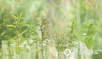 聊聊8月读的6本书,最后一本虽然读得好累,但还是要推荐!