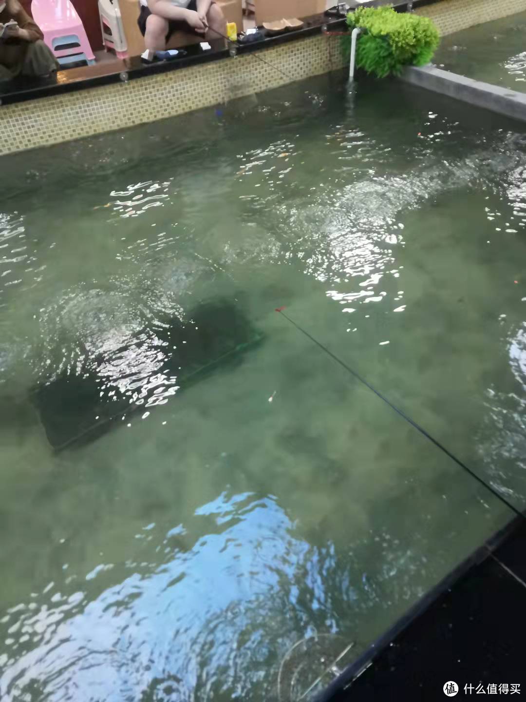 钓虾大王救救我!怎样才能盘了老板的虾场?记一次不太成功的带娃钓虾经历