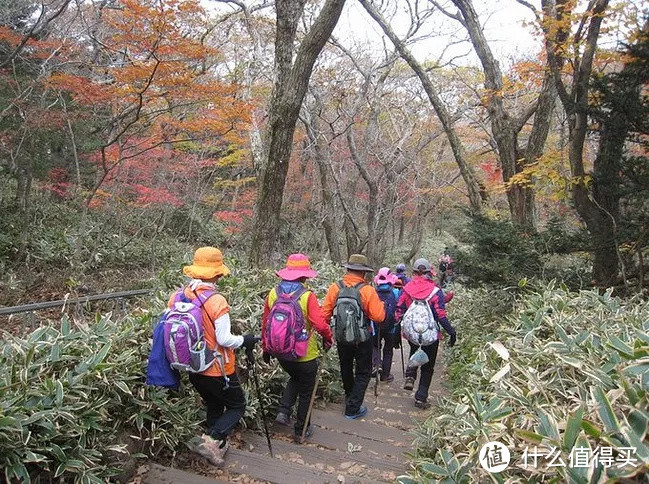 在中国“过气”10年的地方，在韩国已经火到这种程度了吗？