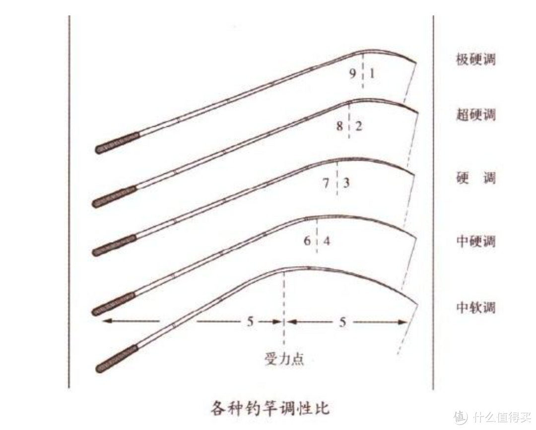 新手可以通过这几点选择一款合适的鱼竿！