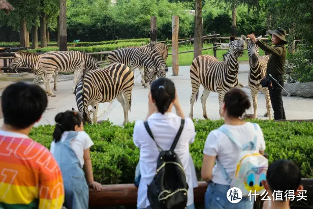 老师辛苦了，邀您免费游上海野生动物园！