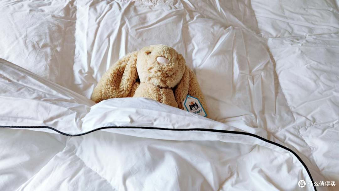 睡眠质量差?教你如何睡个好觉