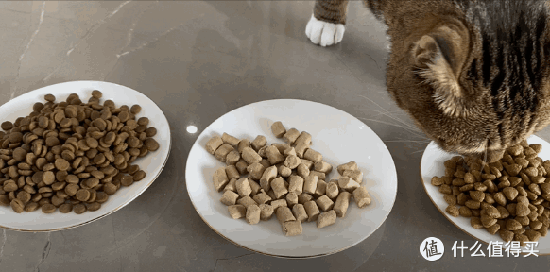 图中从左至右依次为:主食猫粮、冻干和其他品牌猫粮