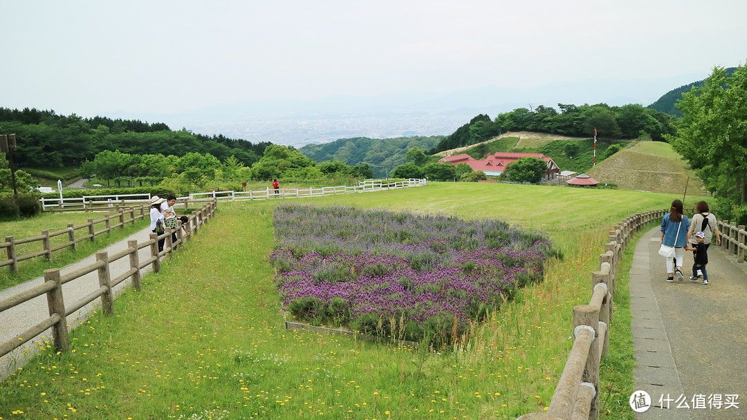 油山牧场