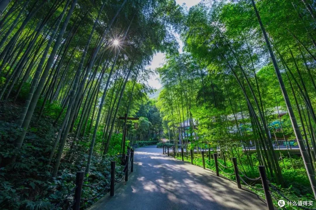 江浙沪最宝藏的温泉小城，周末来度个假正合适！