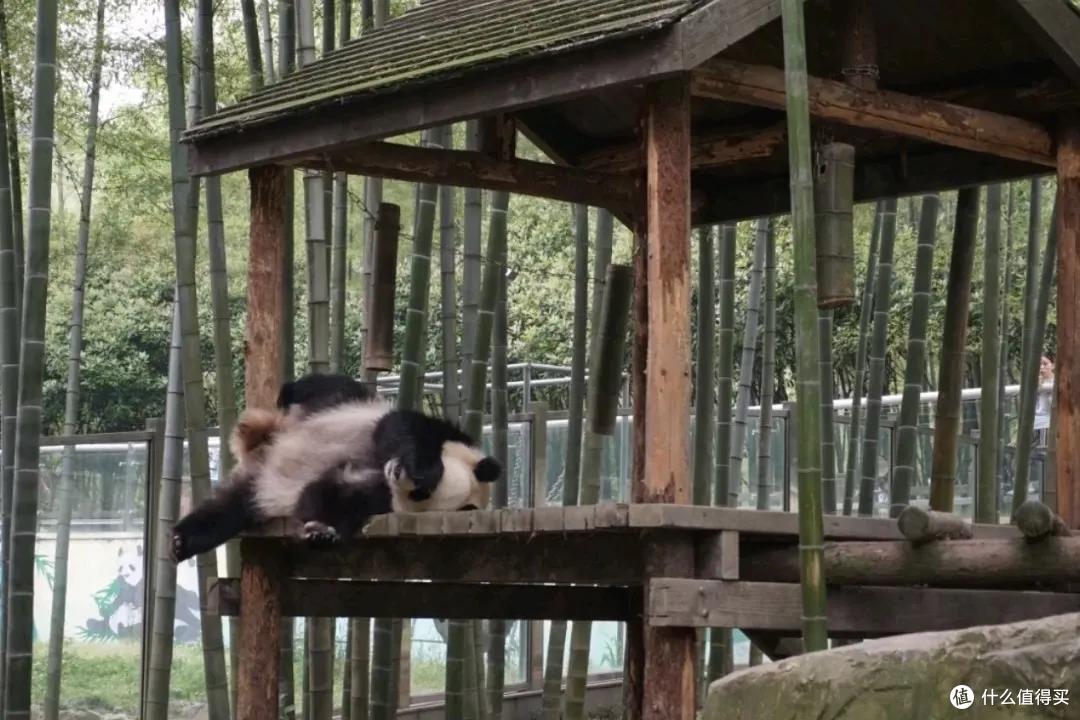江浙沪最宝藏的温泉小城，周末来度个假正合适！
