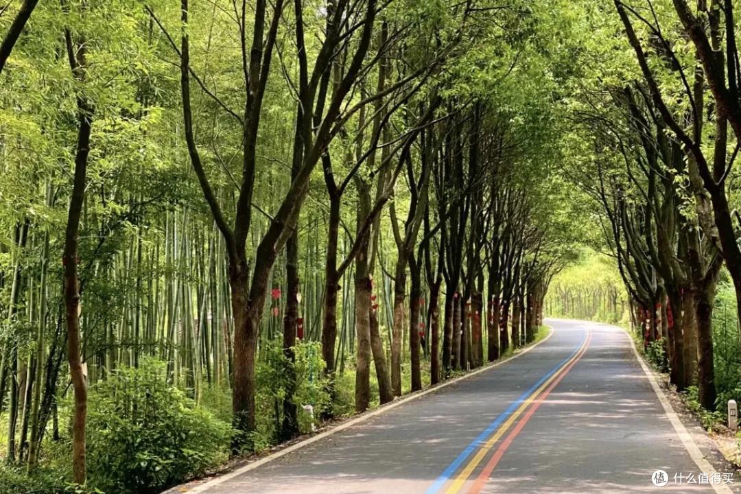 江浙沪最宝藏的温泉小城，周末来度个假正合适！