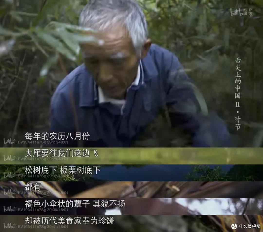 江浙沪最宝藏的温泉小城，周末来度个假正合适！