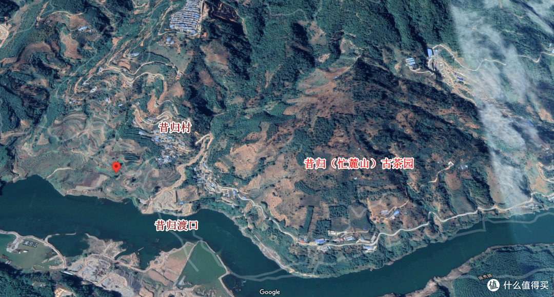 昔归古茶园,就在水汽氤氲的澜沧江畔,海拔750m+