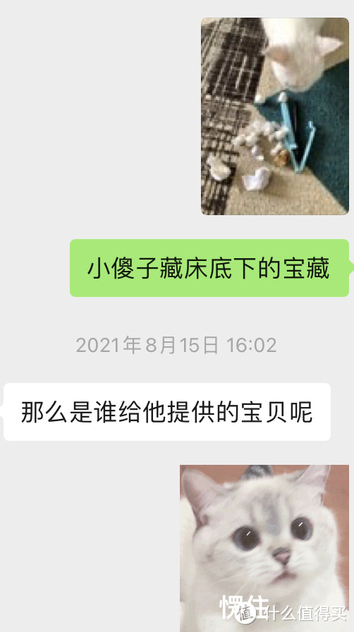 高爷家麦肯鸡鸡肉猫粮究竟好不好？毛孩子说了算！