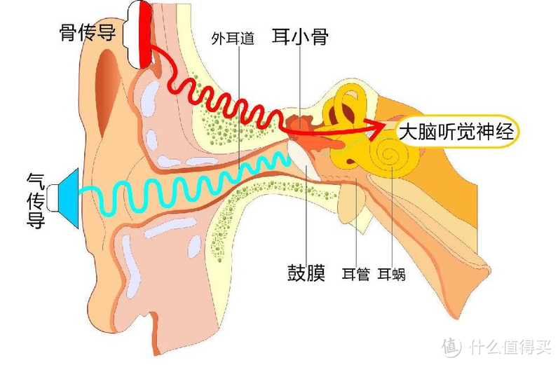 Hi,Siri 请为我讲一个枕边故事！南卡骨传导Zzzz无线助眠音箱体验