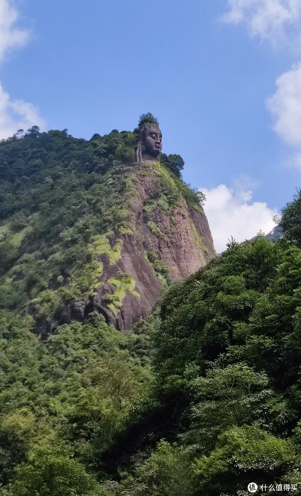 随着索道不断向上，蓦然间向山林望去，出现了一尊佛像。