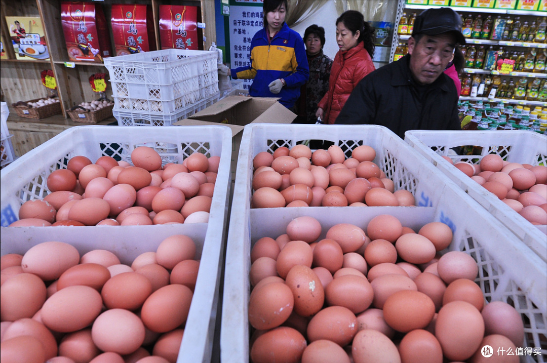 中秋节买鸡蛋,遇到红皮和白皮怎么选?养殖户说漏嘴,可别买错了