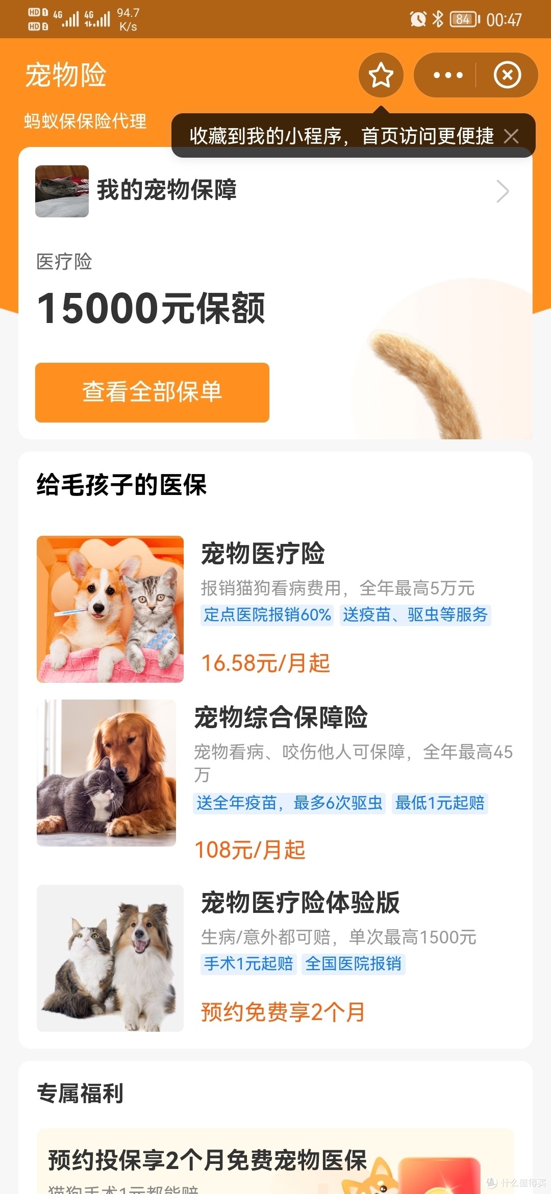 新手养猫攻略—养猫两年半，我究竟花了多少钱？看完我惊讶了