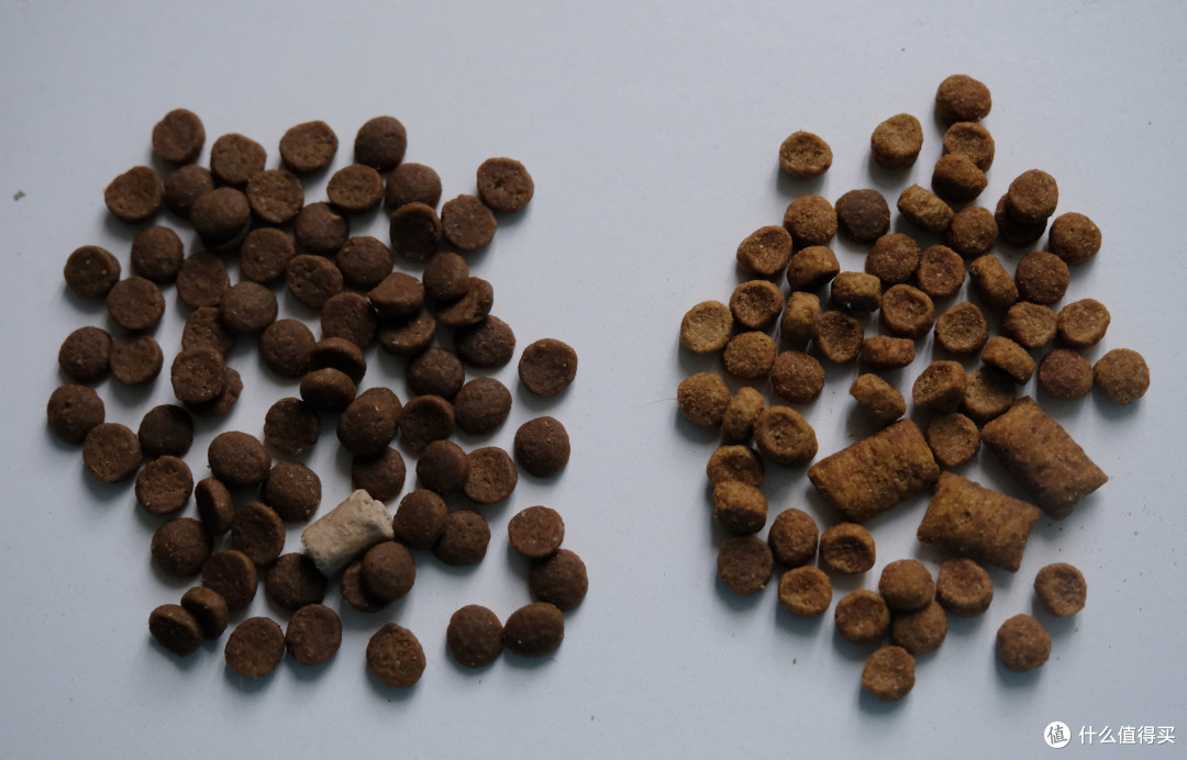 高爷家麦肯鸡鸡肉猫粮究竟好不好?毛孩子说了算!
