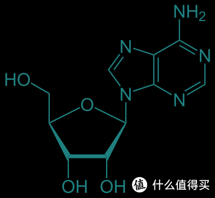 我变强了，但我不要变“秃”：我用过的防脱洗发水吐血盘点