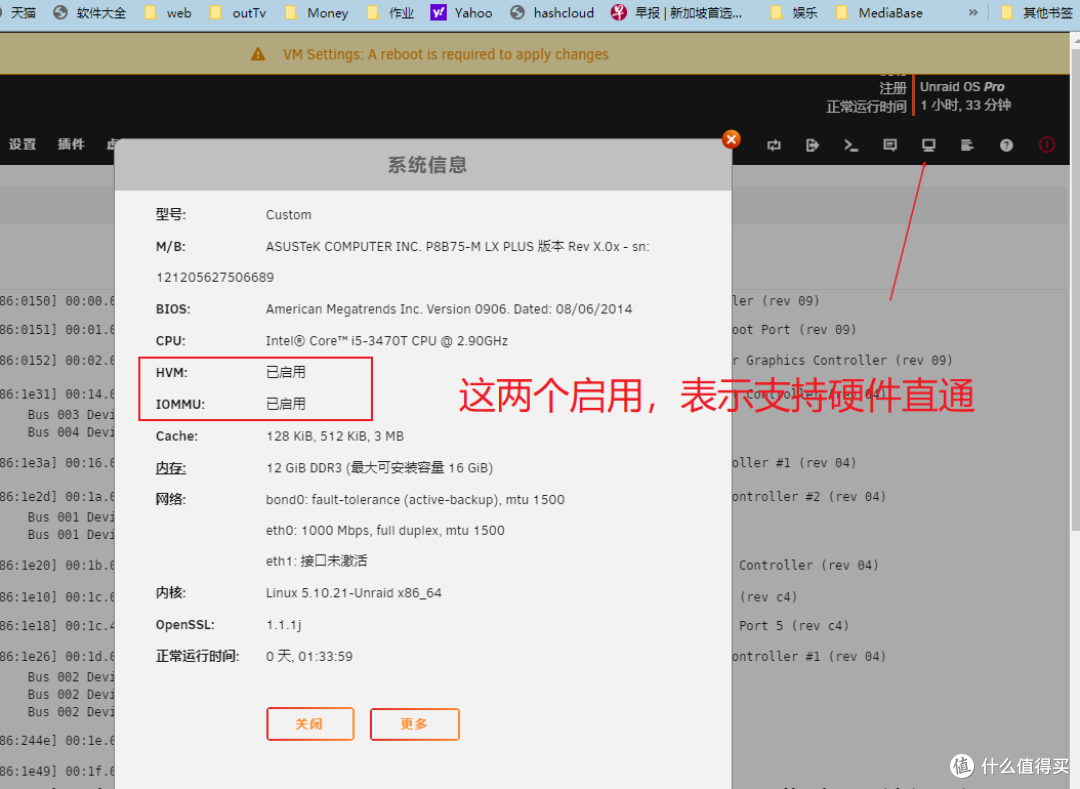 unraid6.9以上 网卡直通 分组复选框不可选的故障排除