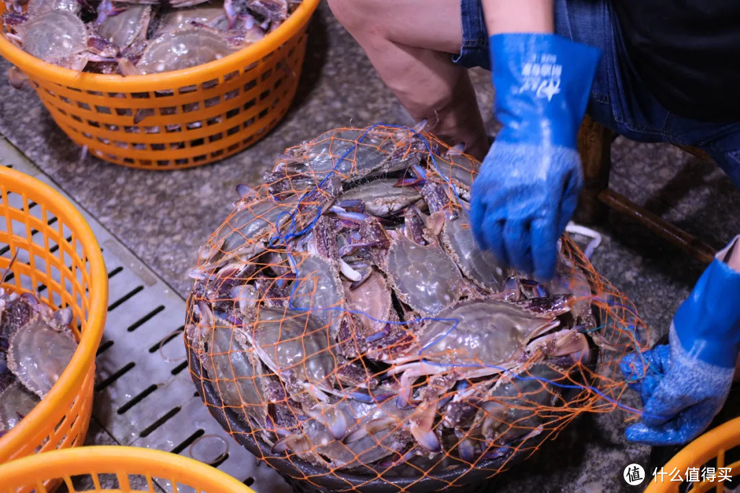 深夜才开的海鲜鬼市，人人抢货抢到手软