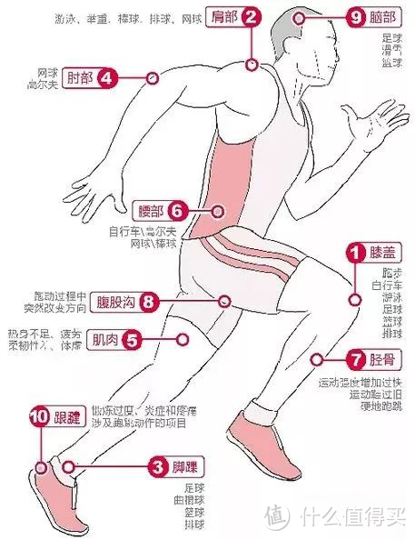 人体运动最容易受到伤害的10个部位