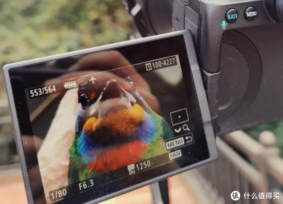 黑水摄影师也爱拍鸟 全能拍摄者会选择哪款相机？