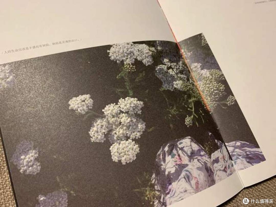世间爱怨都是过往，时隔20年再读《彼岸花》，更该好好爱好好活