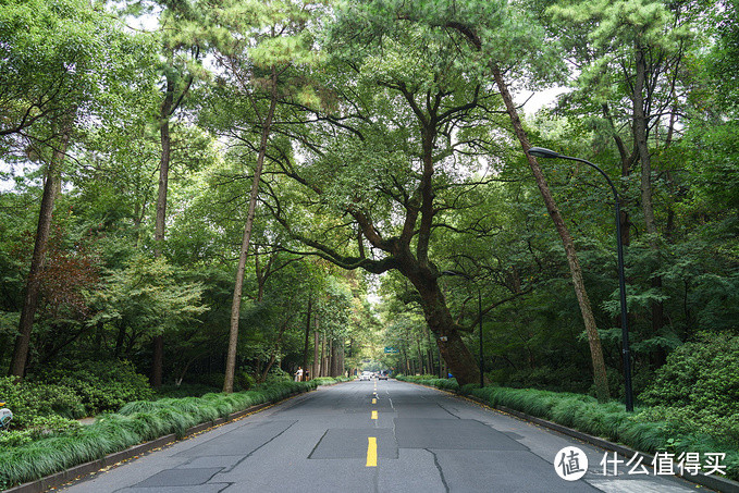 灵隐路。确实有点隐的味道