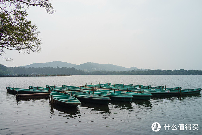 杨公堤附近。阴天，风景一般般。