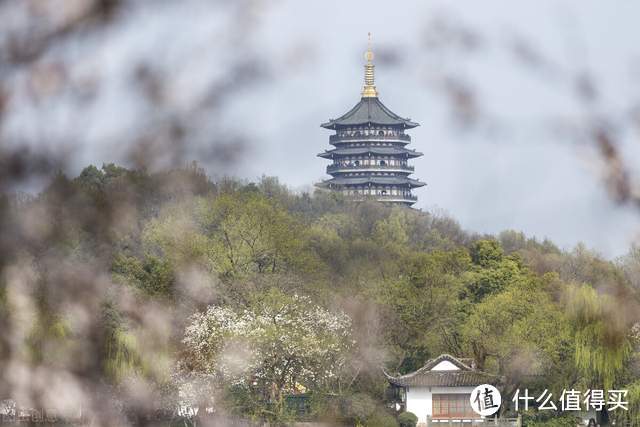 若是这世间真有这神奇十字坡，我愿长住不回