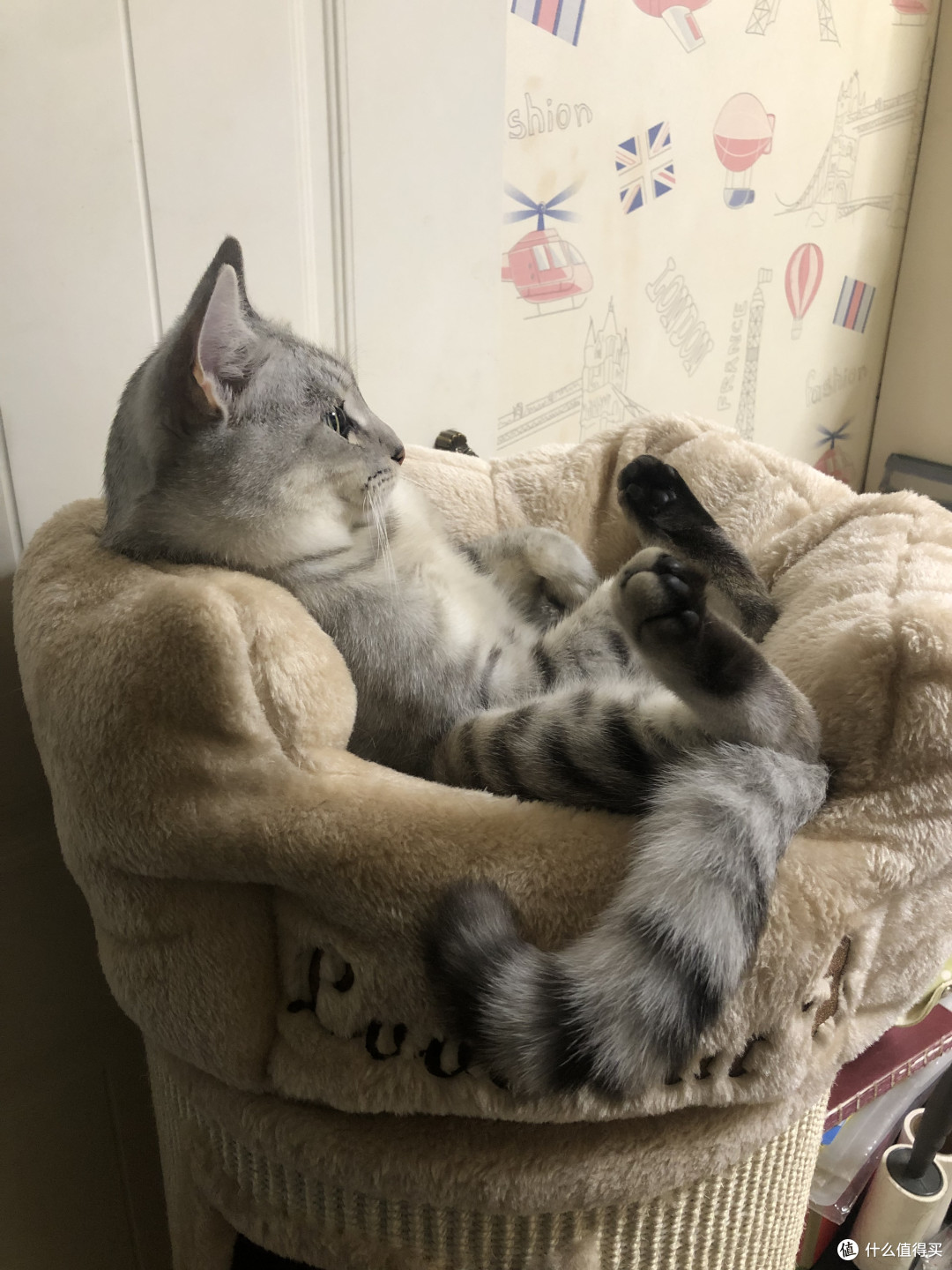 图书馆猿の让便宜货来的更猛烈一些吧!163