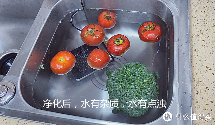 小尼熊果蔬清洗机：专业快速净化食材