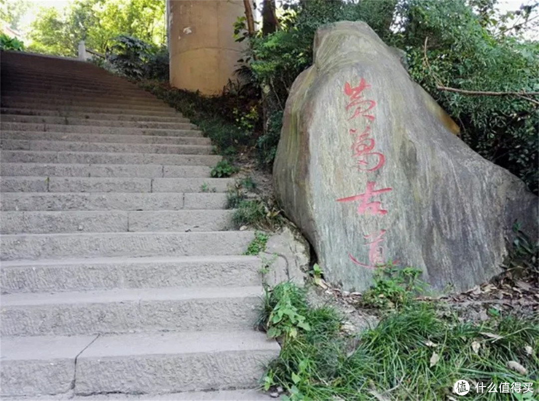 重庆徒步攻略：穿越800年黄葛古道，领略山城丝绸之路