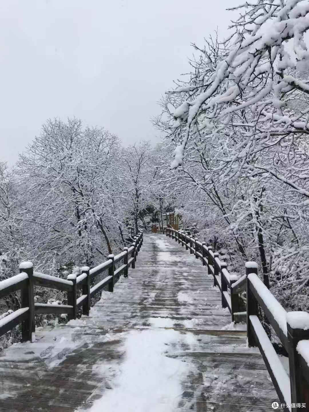 旅记回顾|被遗忘的人间仙境,2018年我去了“小九寨”牟泥沟