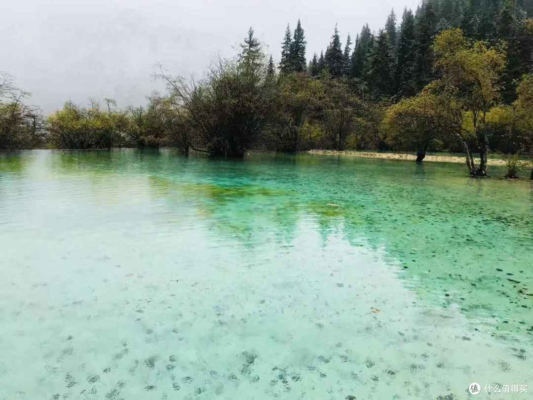 旅记回顾|被遗忘的人间仙境,2018年我去了“小九寨”牟泥沟