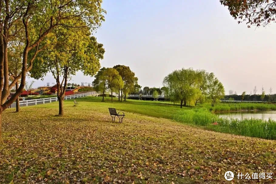 明珠湖公園就在西沙溼地公園旁,相隔3公里,大致景色都是相似的,不過