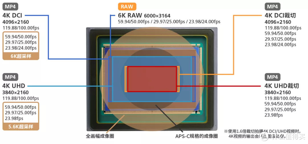 一篇特别硬核的佳能EOS R3规格解读