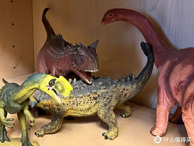 玩偶之家旁边柜子里各种恐龙，现在都不认识了，过去到了玩具店我都能当导购哈哈